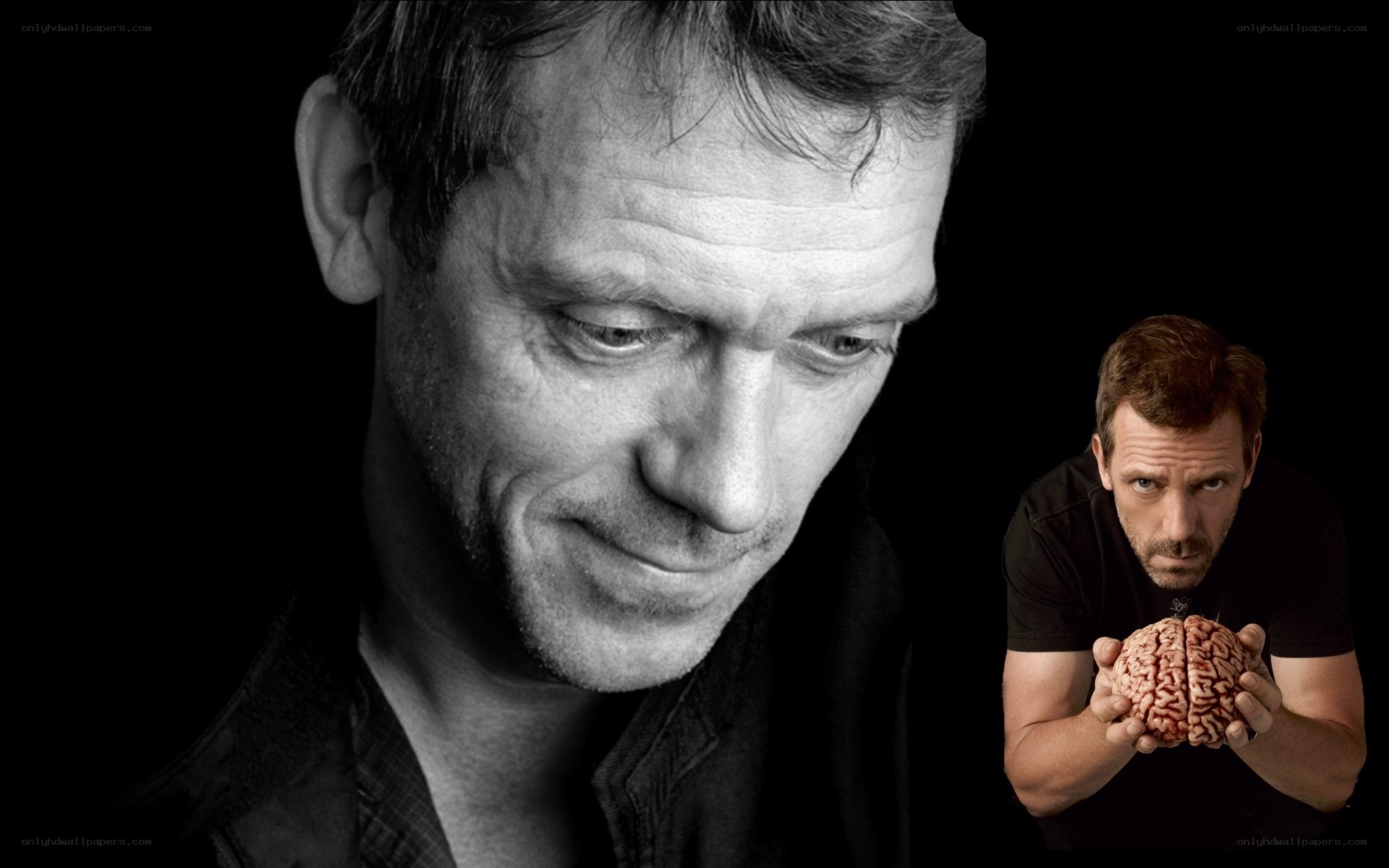 Hugh Laurie as House