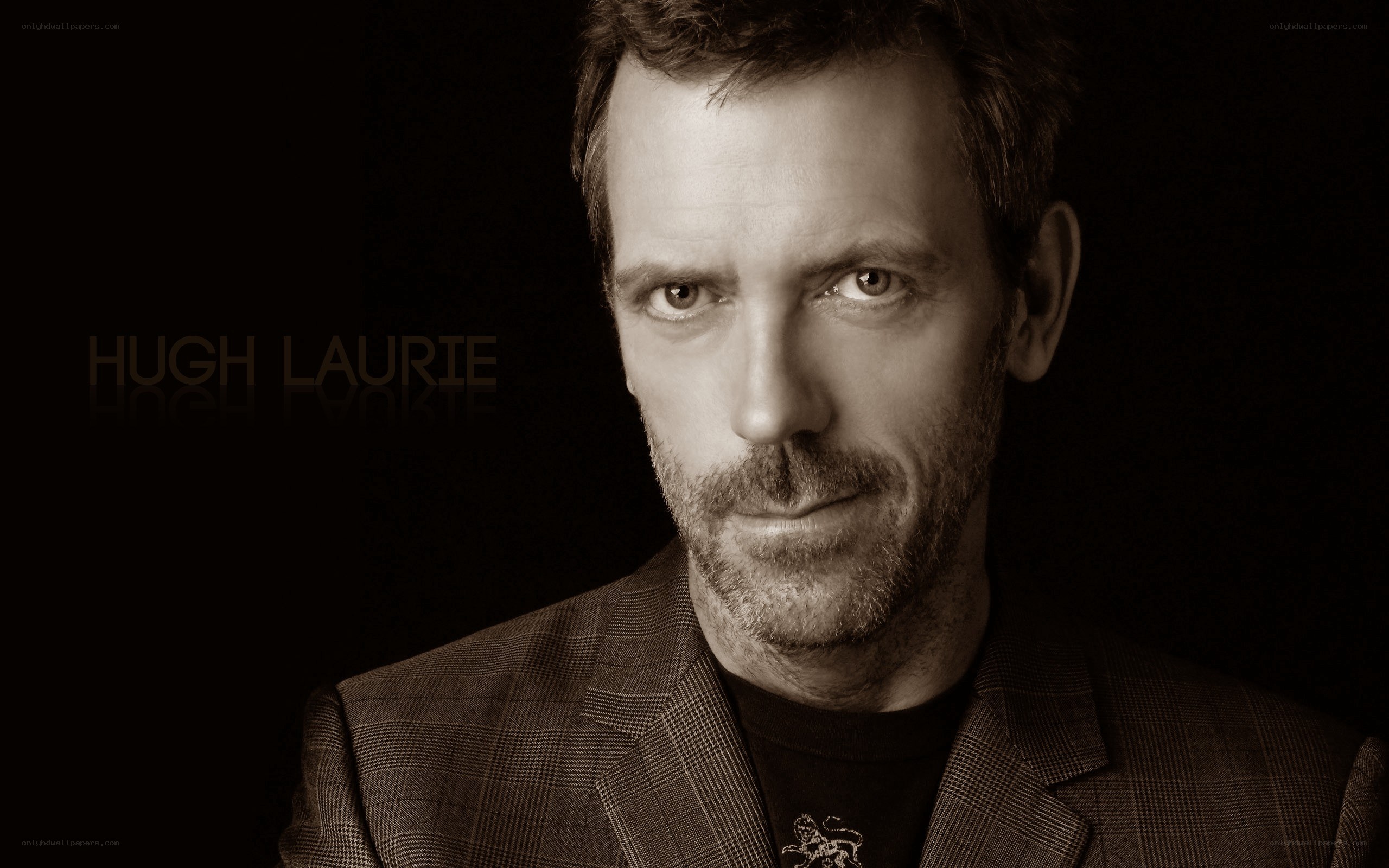 Hugh Laurie portrait