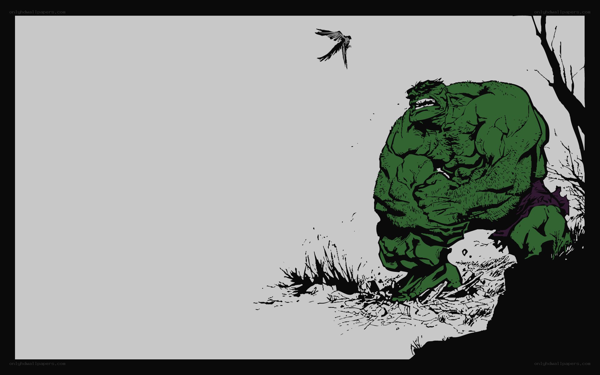 Hulk in a desolate landscape