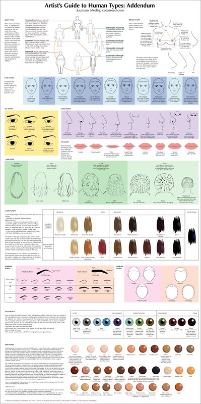 Human Anatomy Guide — White