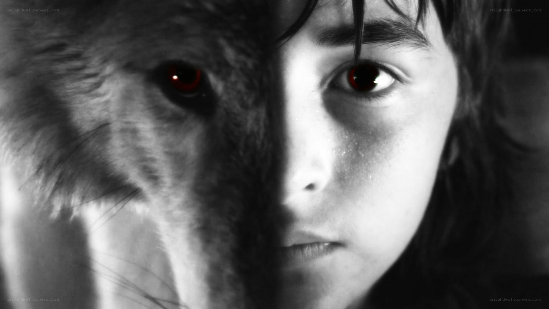 human and wolf face merge