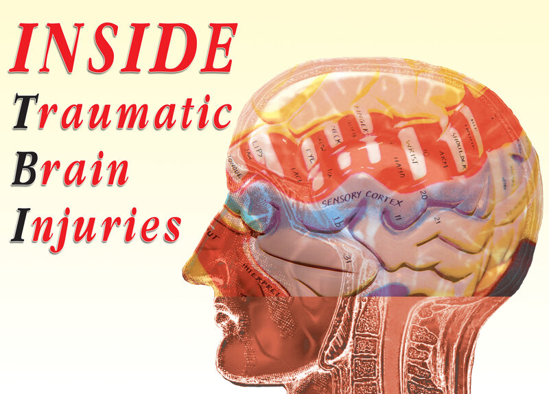 Human Brain Anatomy