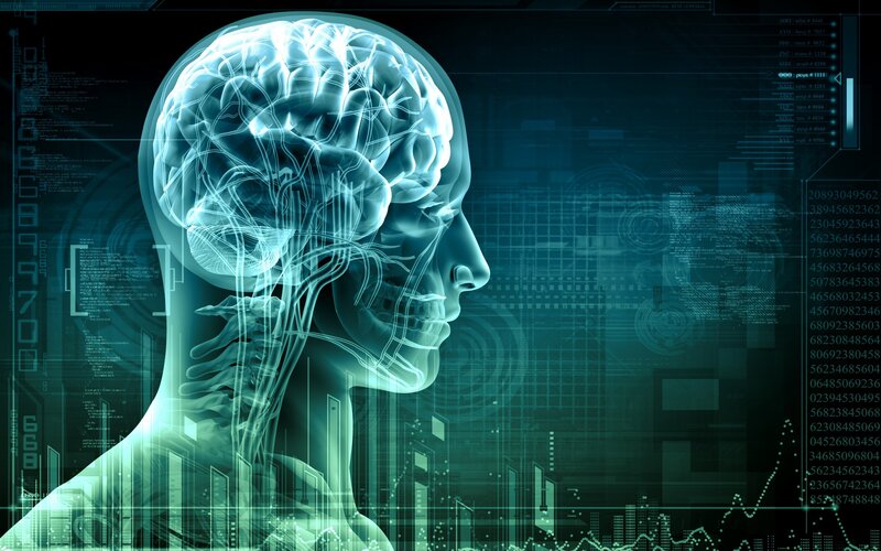 Human Brain and Nervous System — Blue