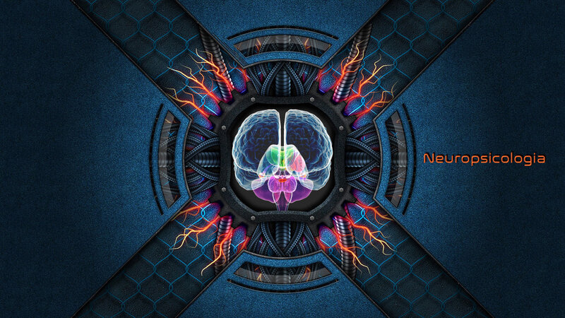 Human Brain in a Machine