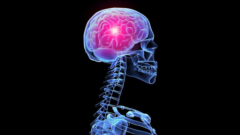 Human Brain in Skull — Blue