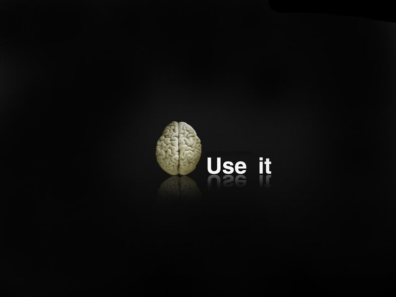 Human Brain Model — Black