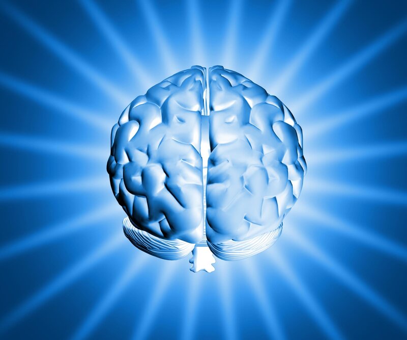 Human Brain Model — Blue