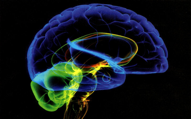 Human Brain Scan — Blue