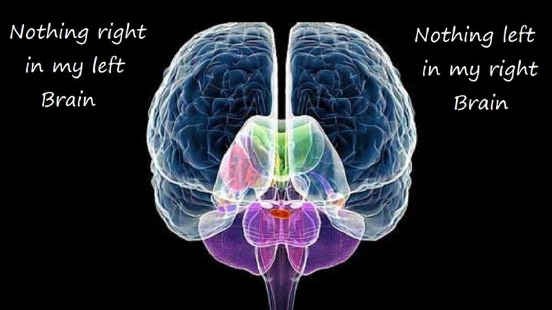 Human Brain Scan
