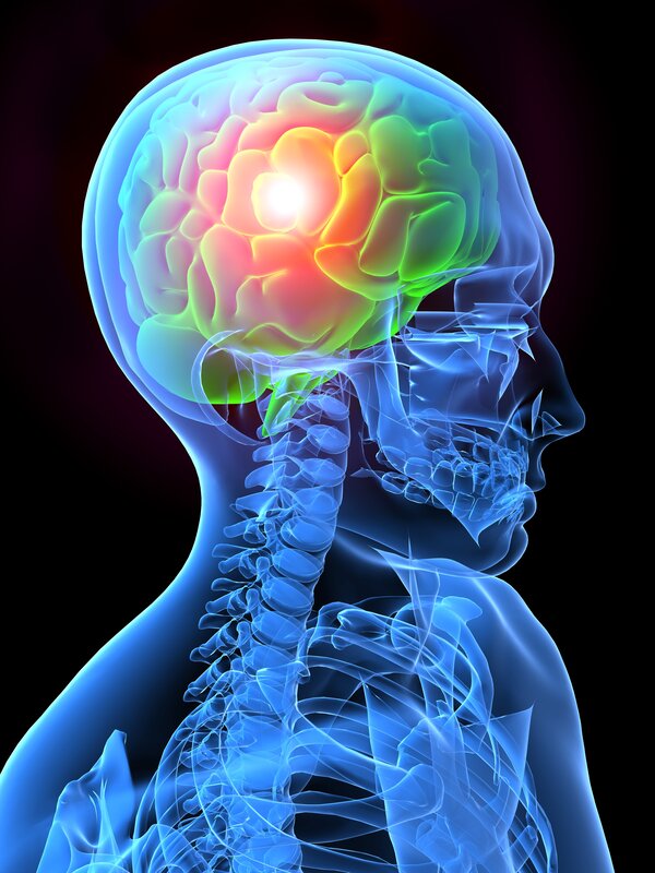 Human brain with neural activity
