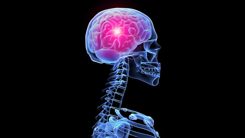 Human brain with pain focus