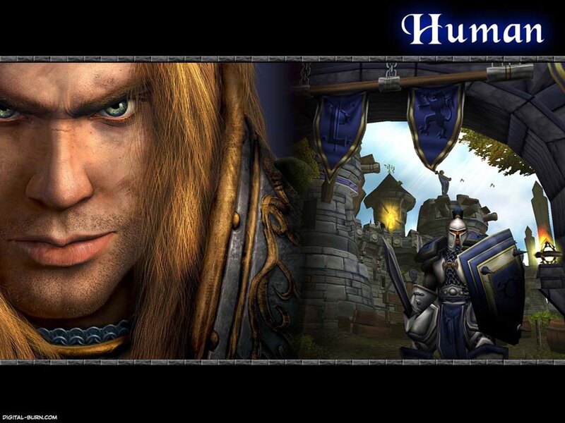 Human character from World of Warcraft