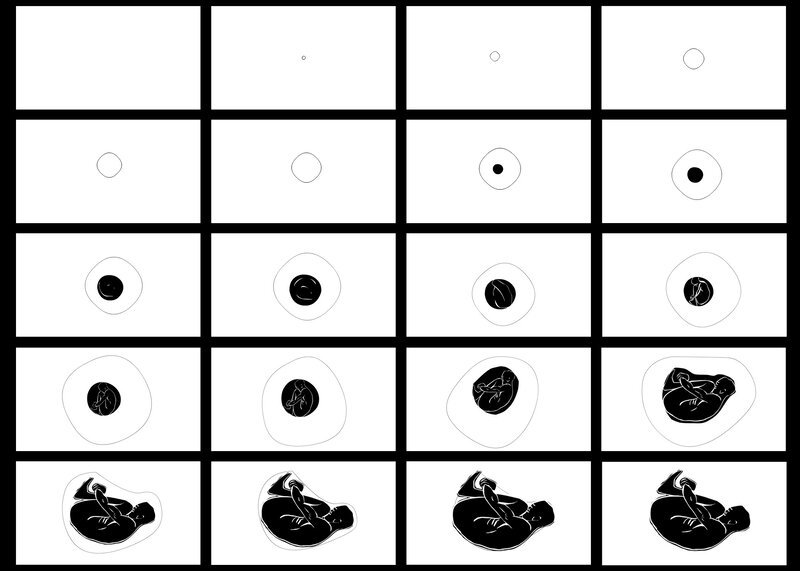 Human development sequence
