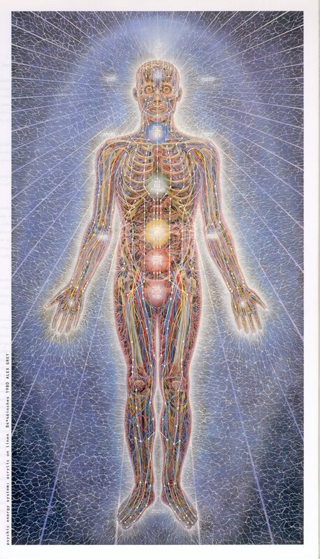 Human energy system diagram