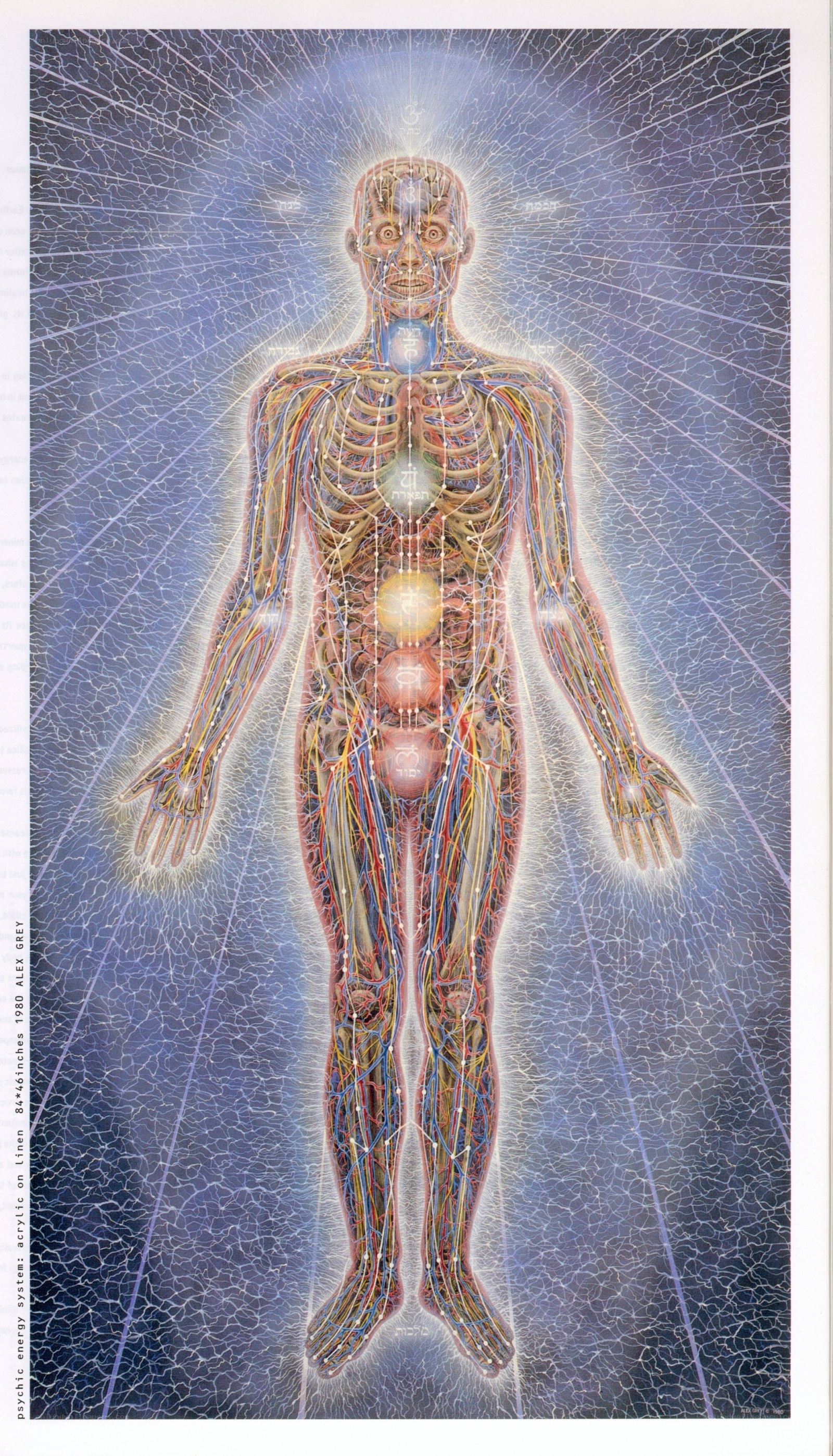 Human energy system diagram