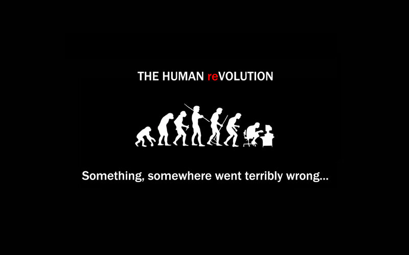 human evolution parody