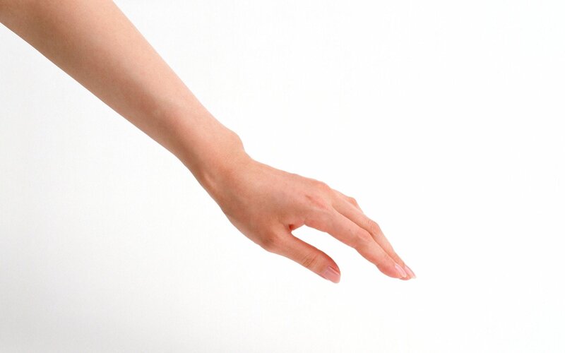 Human Hand and Forearm