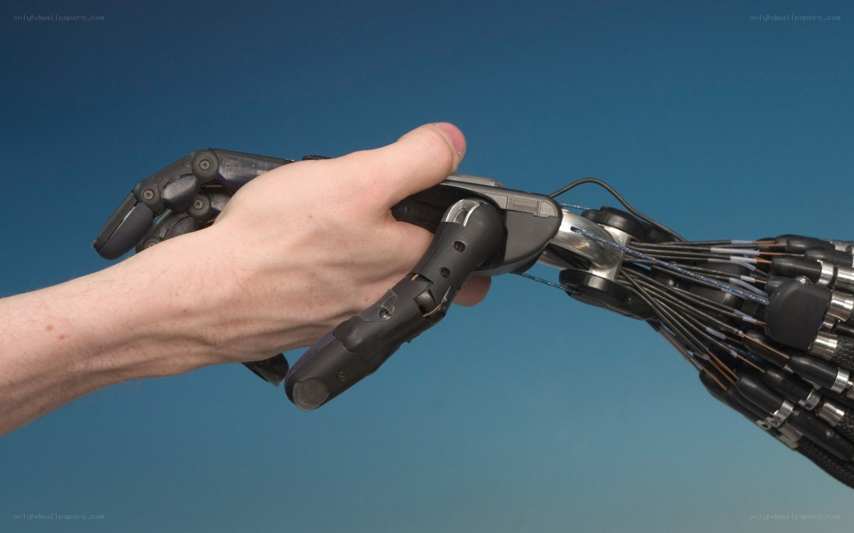 Human hand holding robotic arm