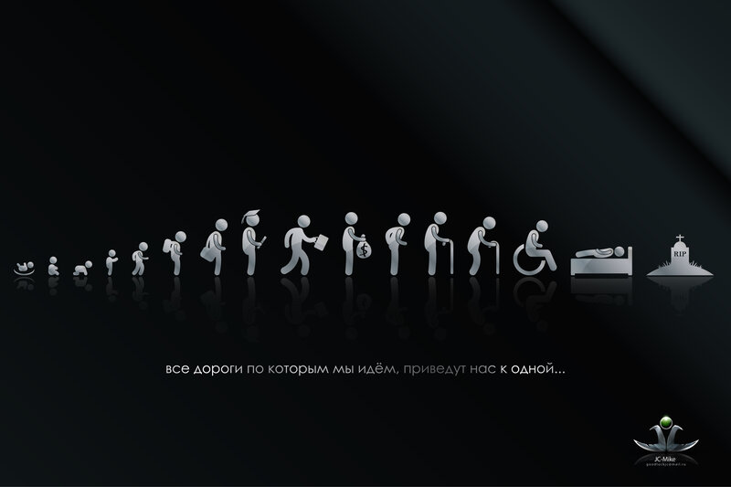 Human Life Cycle