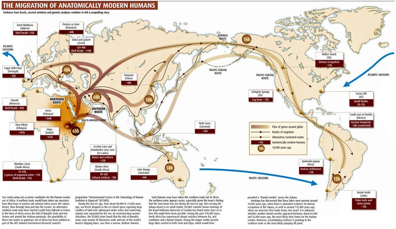 Human Migration Map