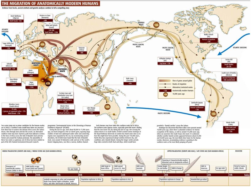Human Migration Map
