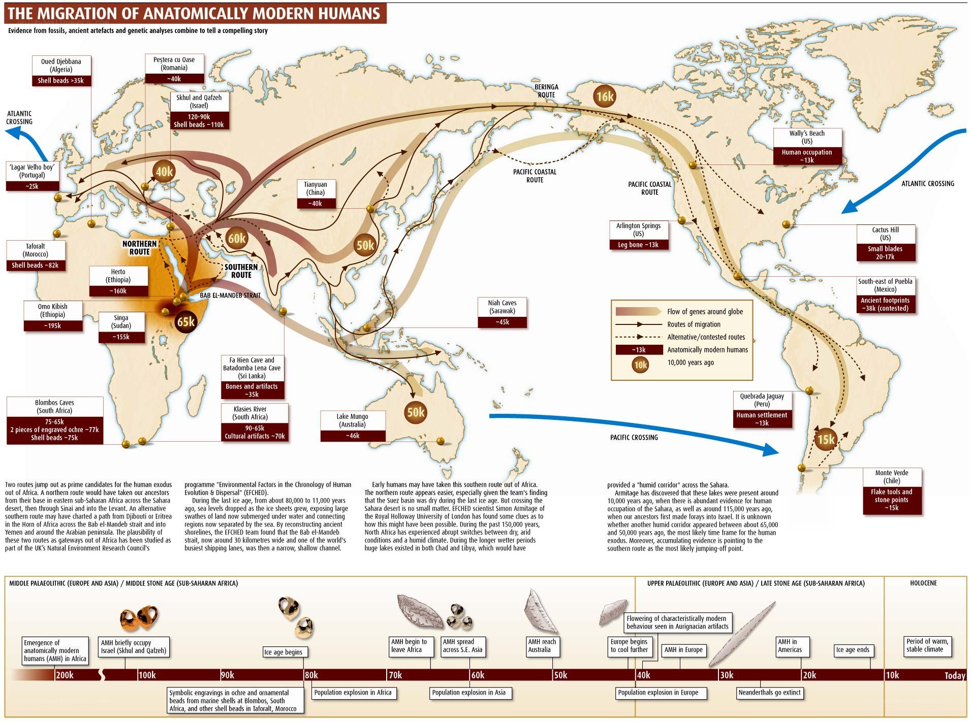 Human Migration Map