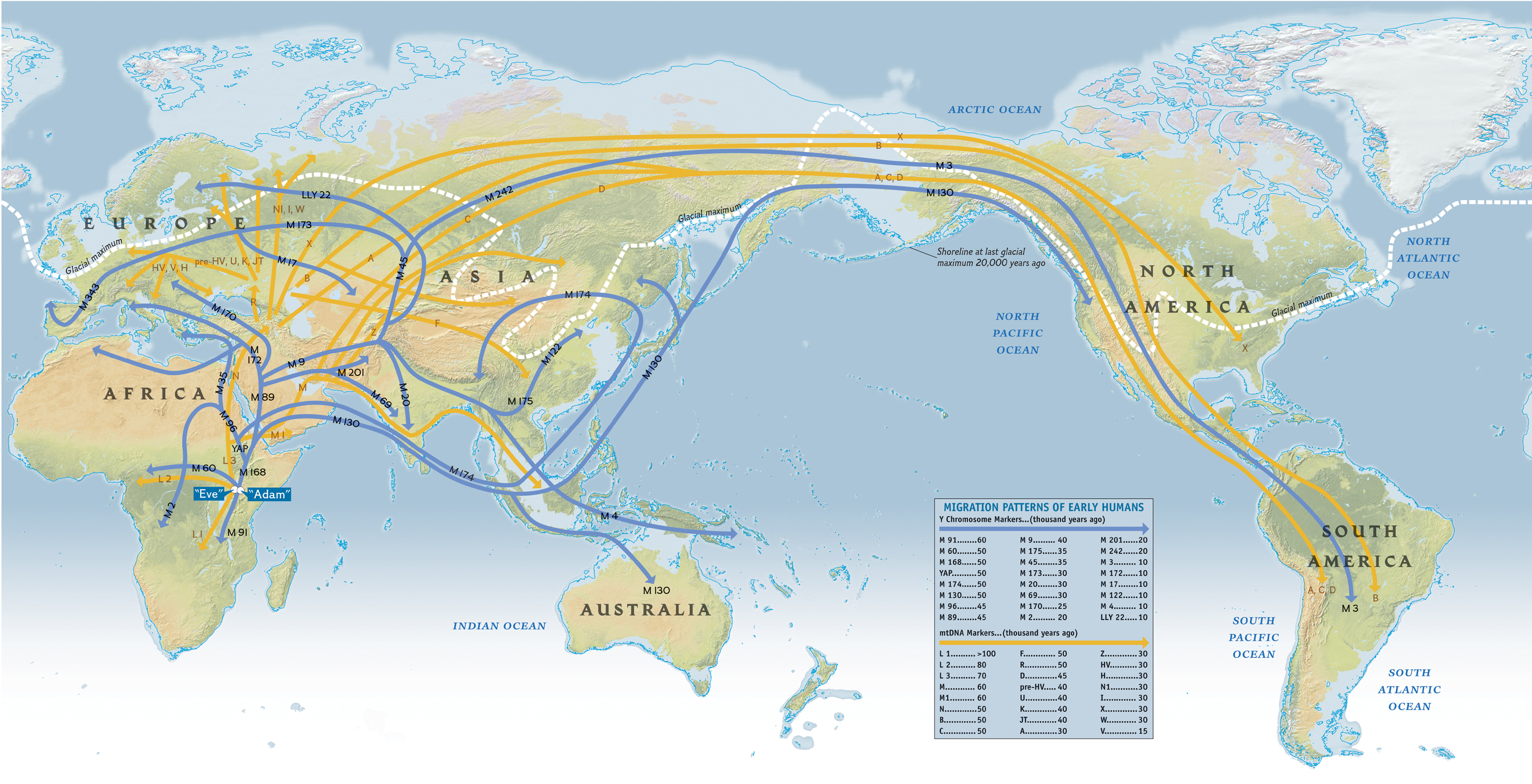 Human Migration Patterns Map