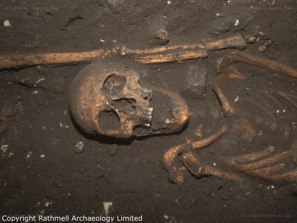 Human skeleton in burial
