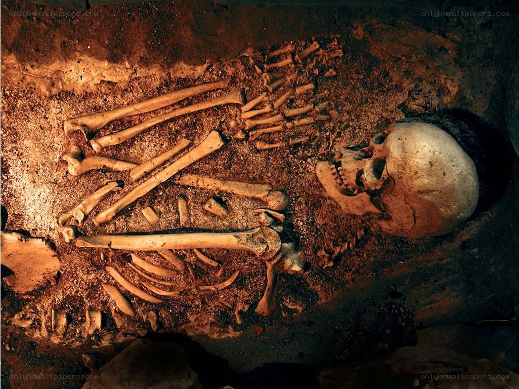 Human skeleton in burial site