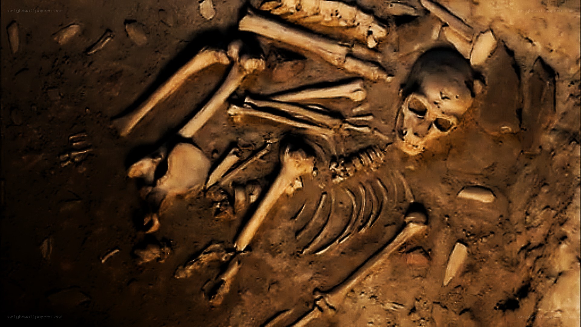 Human skeleton in burial site