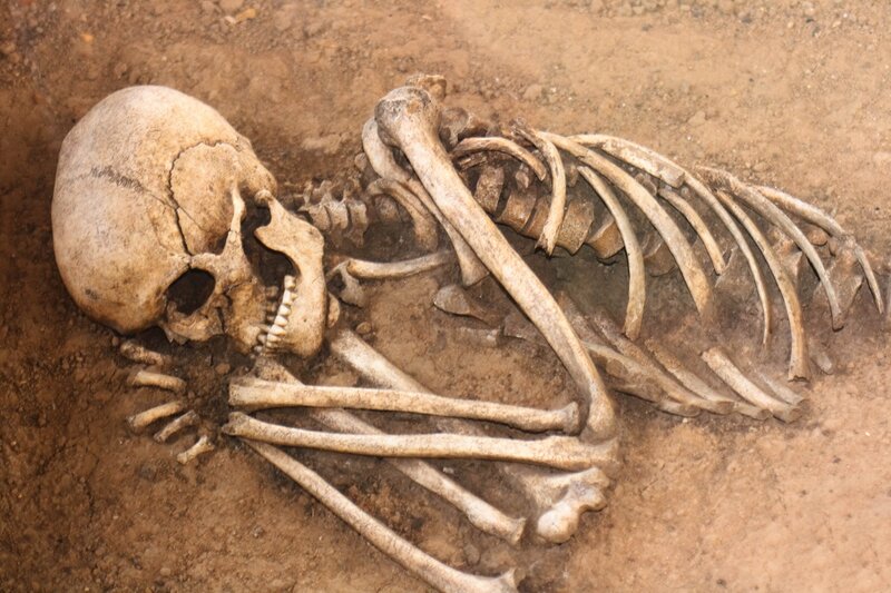 Human skeleton in burial