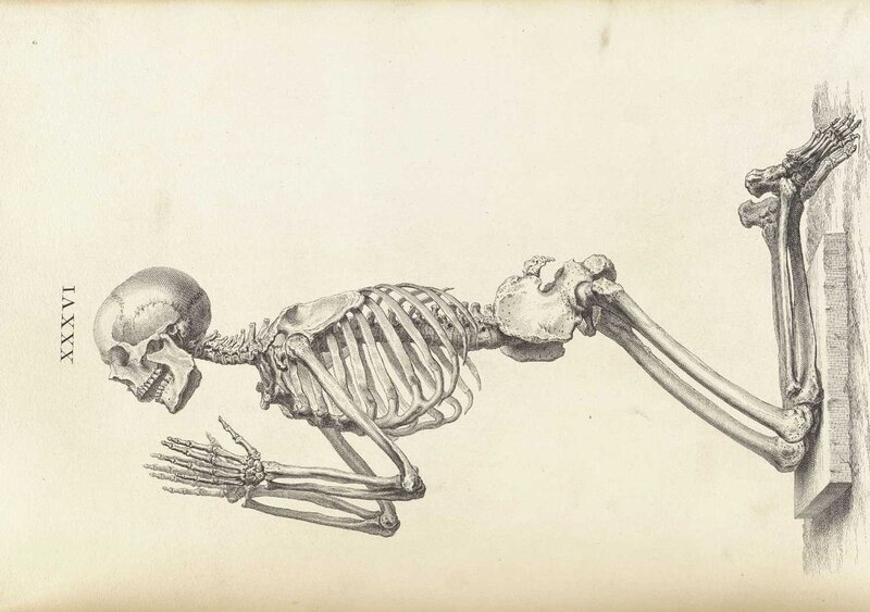Human Skeleton in Prayer