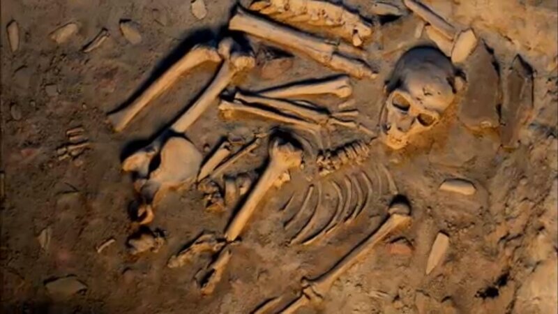Human Skeleton in Soil — Brown