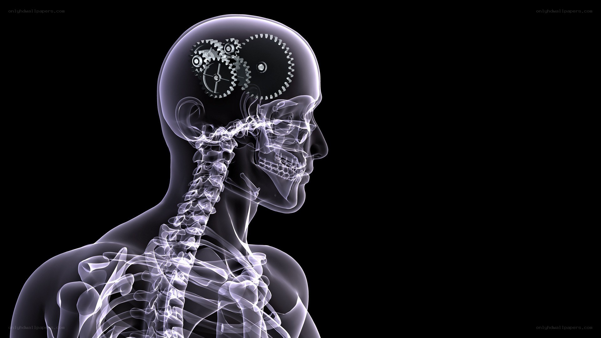 human skeleton with gears in brain