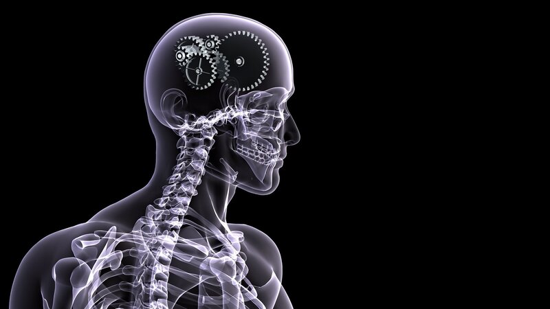 Human Skeleton with Gears