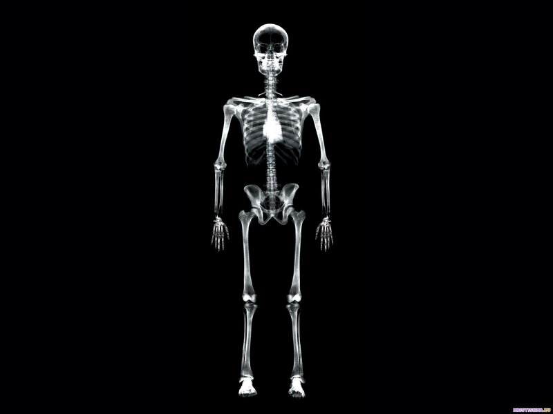 Human skeleton x-ray
