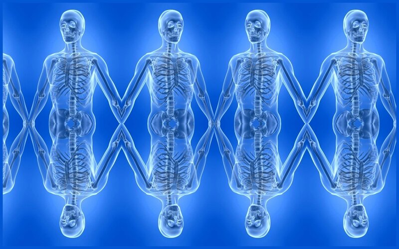 Human skeletons in a row
