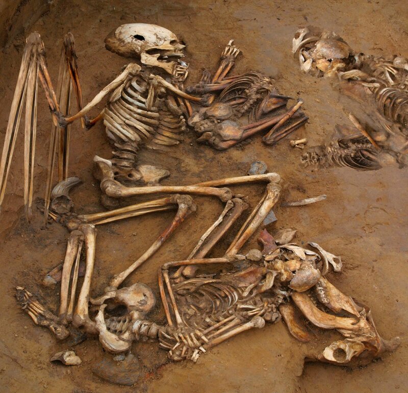 Human Skeletons in Soil