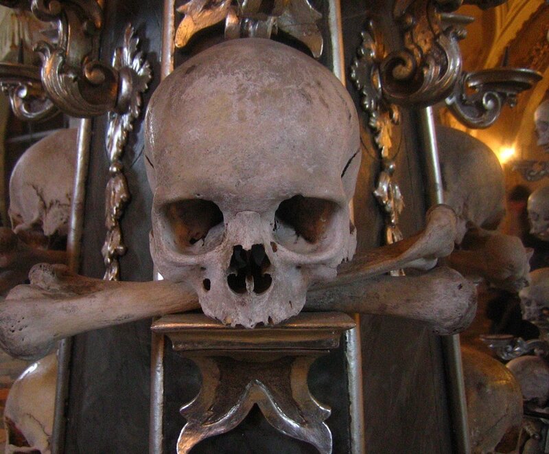 Human Skull and Bones