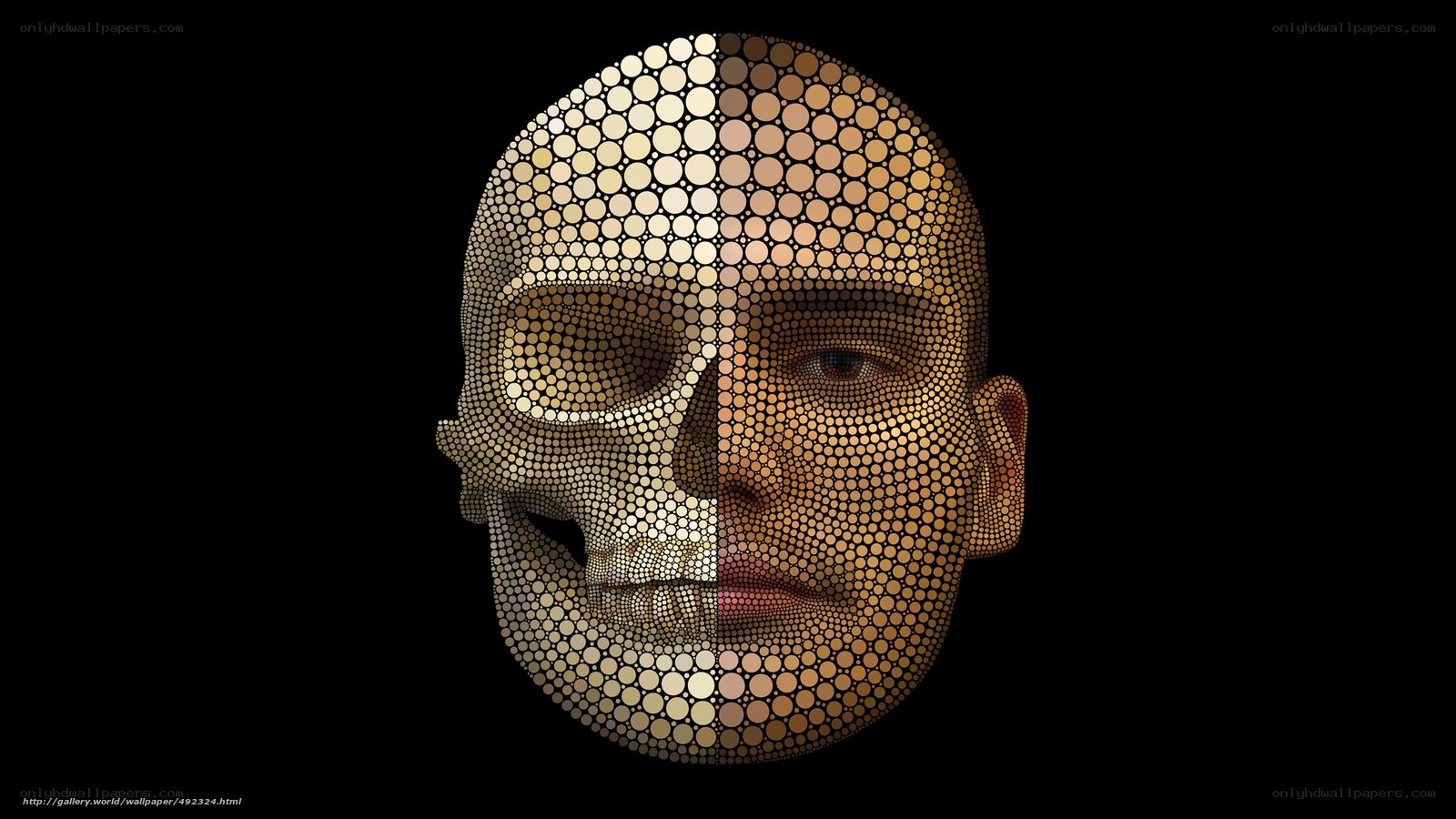 Human skull and face mosaic