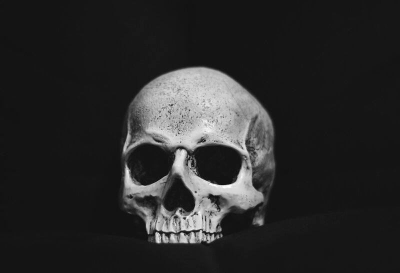 Human Skull — Black, Dramatic, Photograph