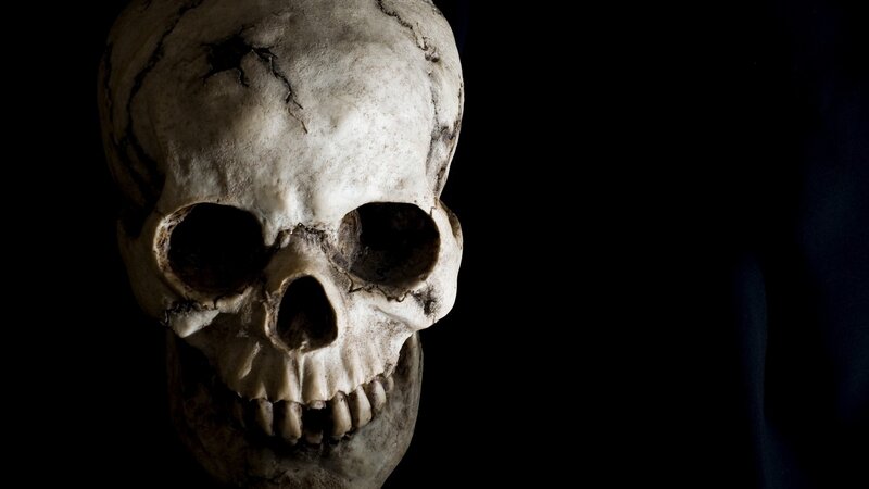 Human Skull — Black, Dramatic