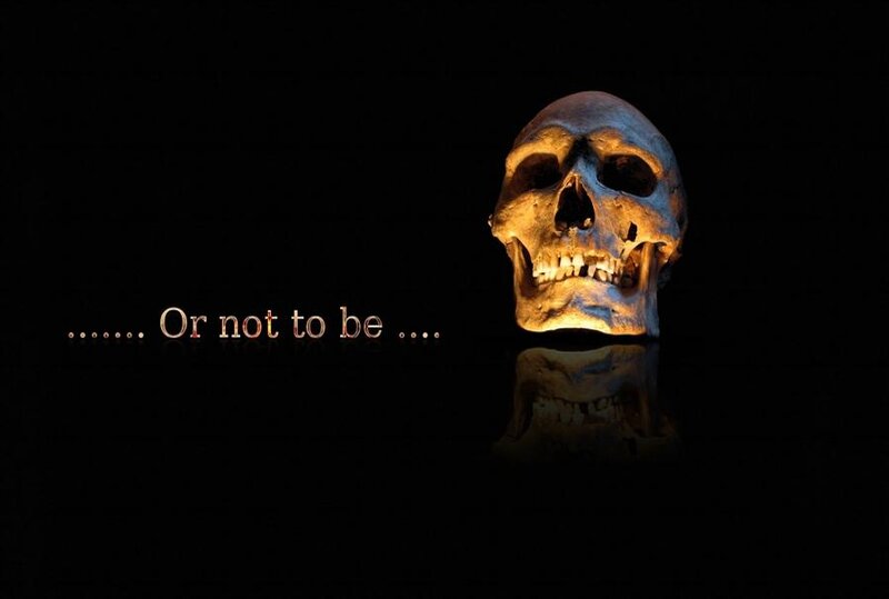 Human Skull — Black