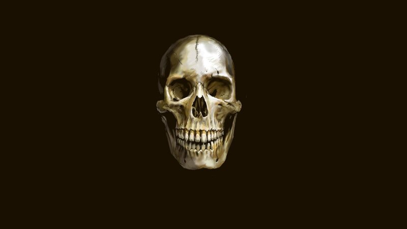 Human Skull — Brown, Dramatic, Digital Art