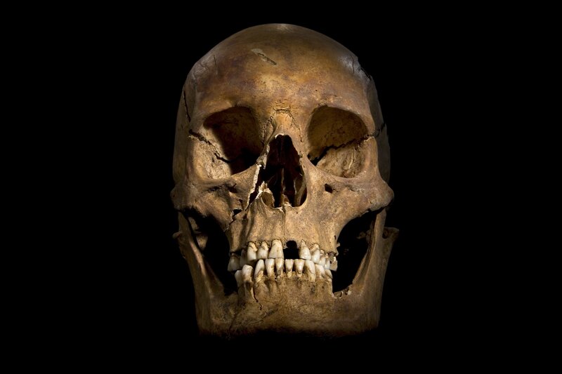Human Skull — Brown, Dramatic