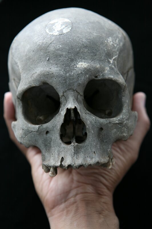 Human skull held in hand