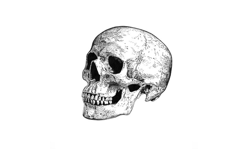 Human Skull Illustration — Black