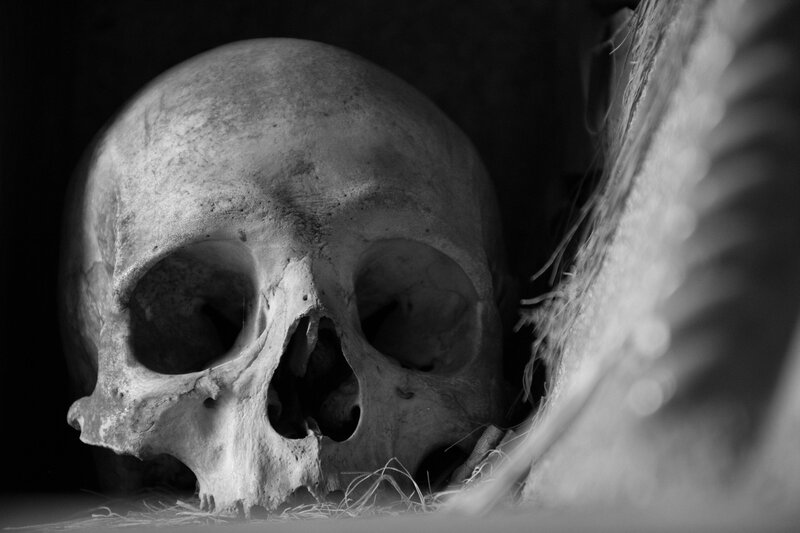 Human Skull in Dark Space