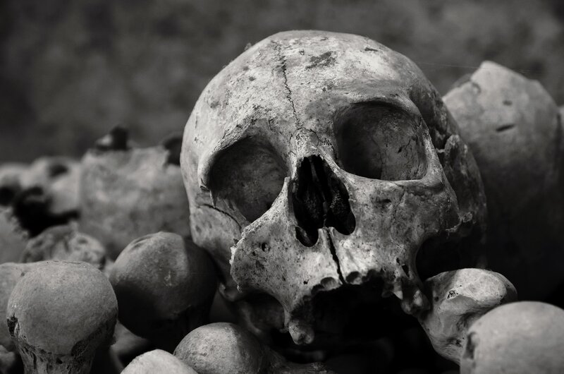 Human Skull in Ossuary — Black, Somber