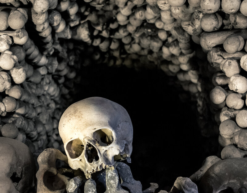 Human Skull in Ossuary — Black
